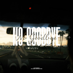 APREX - No Goodbye (Official Audio)