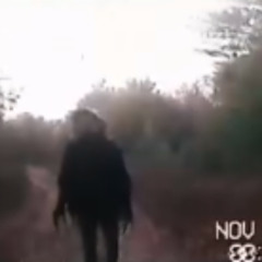 FERAL PEOPLE IN THE WOODS [WRONG TURN]