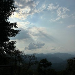 Tales of the Echosystem : Alcalinity