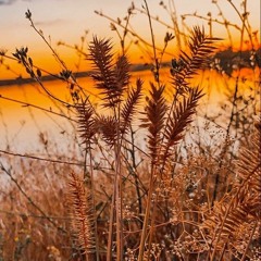 [Onsa Media, Melody Note, M19 kei] Uproar of teacher and girl - Second Trial [rus cover]