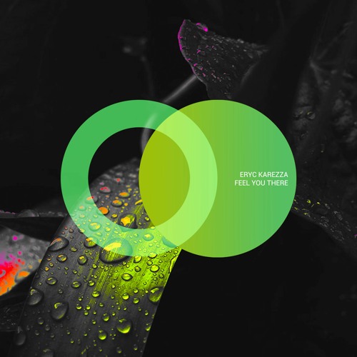 Eryc Karezza - Feel You There