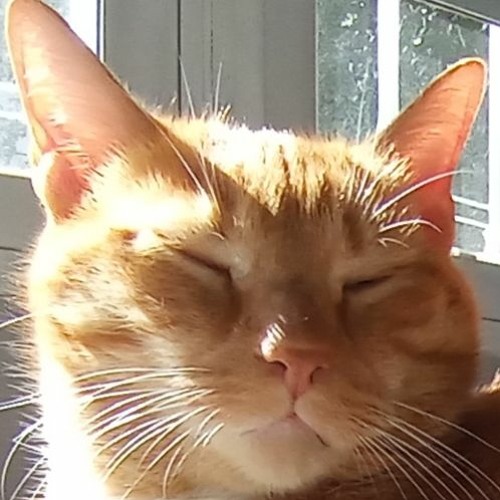 Alice Gas - Ferrari (DBA's Gabber Remix)