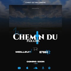 Chemin du paradis (feat. Meilleure MB)