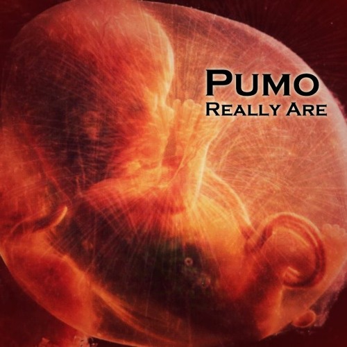 Really Are - Pumo