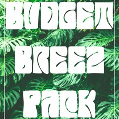 *SAMPLE BEATS* for BUDGET BREEZ PACK {[PURCHASE ON BANDCAMP]}