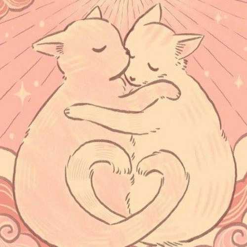 wish i could be your girl