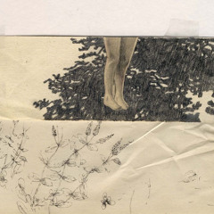 naissance