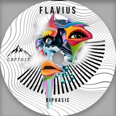 [CRPT017] Flavius - Electroni