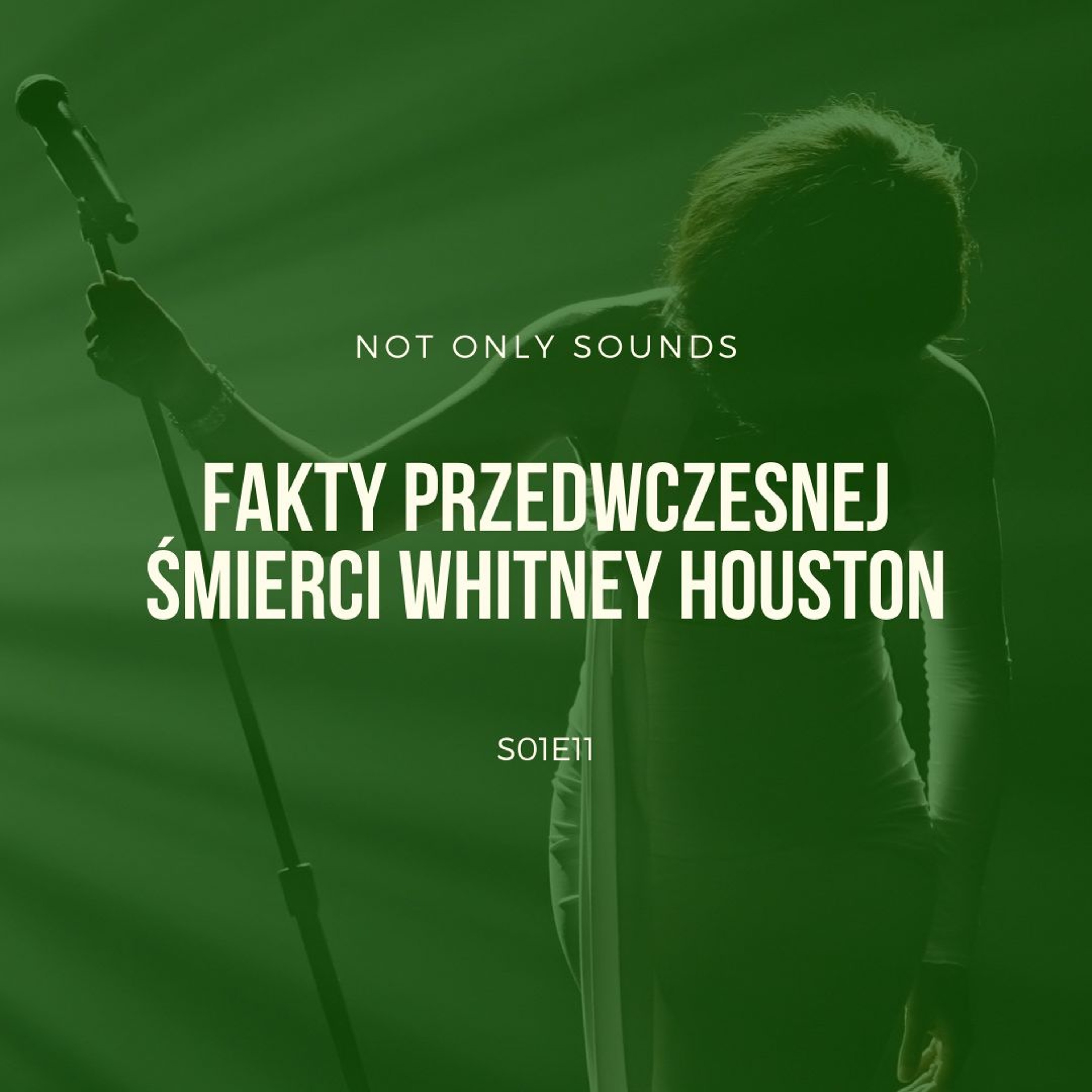 Not Only Sounds - ciekawostki muzyczne