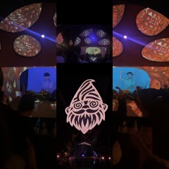 GnomeFest 2025 (Friday 10-11pm)
