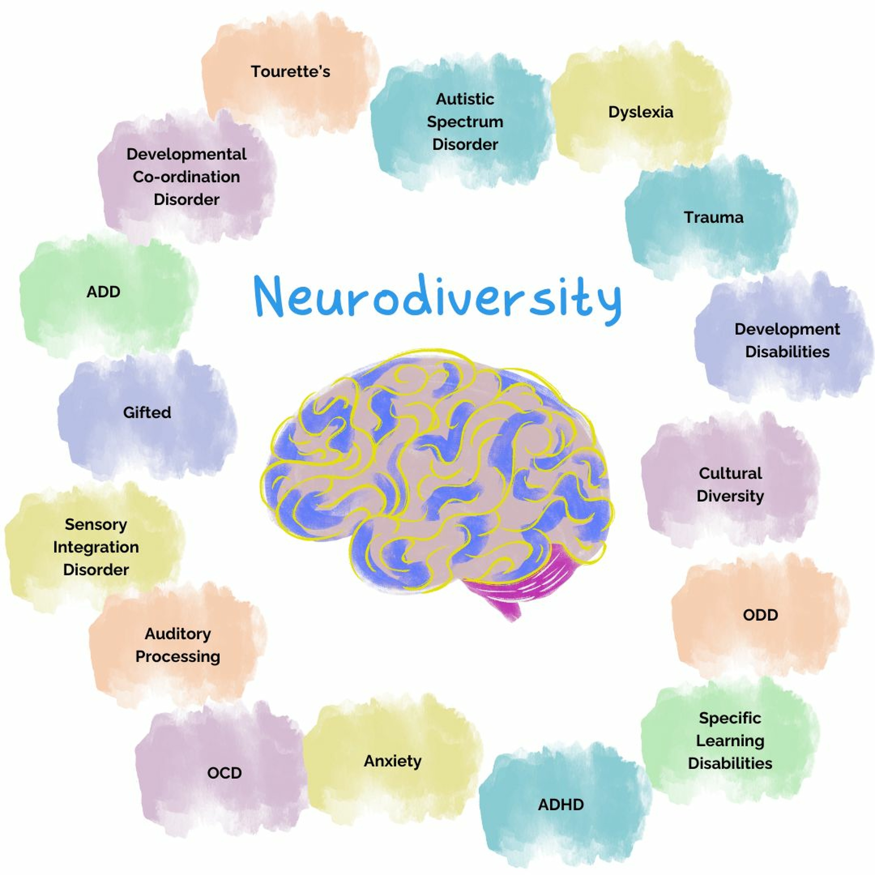 Neurodiversity And Sensory Sensitivity
