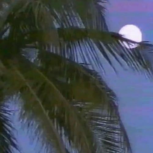 TN CHILLIN' 1994