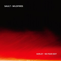Sault - Wildfires [Sorley - No Fear Edit]