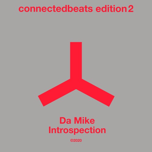 Introspection