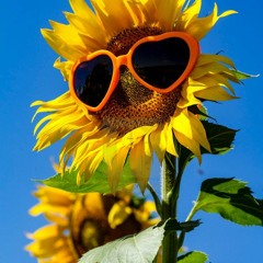 Sunny Side feat. MXRTALKAMI