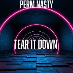 Tear It Down!!! - Perm Nasty.mp3