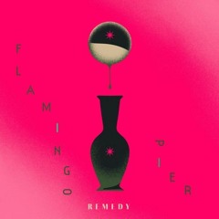 Remedy (Mike Misiu Remix) - Flamingo Pier