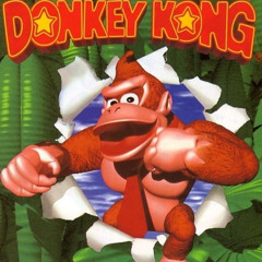 DK Dreamz
