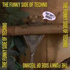 The Funky Side Of Techno | A Hardgroove & Techno Mix