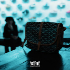 goyard bag (amori)