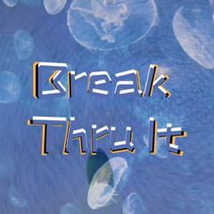 Break Thru It