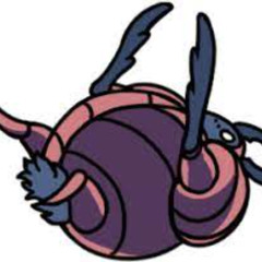 dung beetle