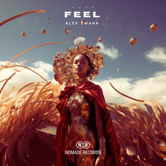 Feel (Radio Edit)