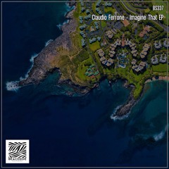Claudio Ferrone - All You Need (Original Mix)