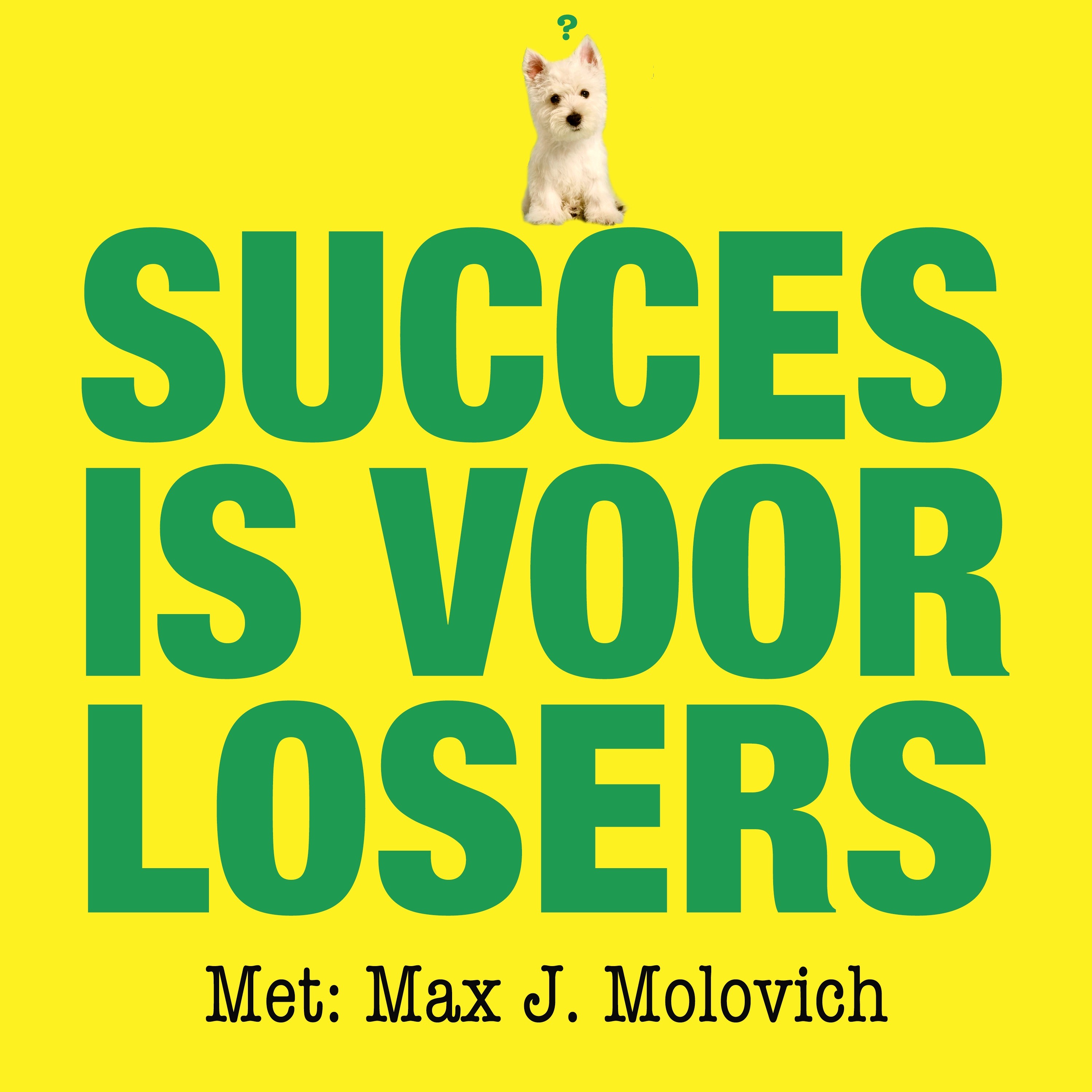 Succes is voor Losers