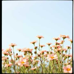 Dj.DamianR - Perfume de mis lágrimas (Poems by Roma Lemańska)