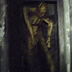 INSOMNIAC - BLAIR WITCH [INSOMNIAC]