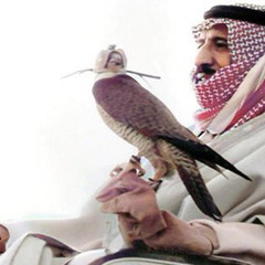 يا عيون النادر اللي على يمنى : ملك