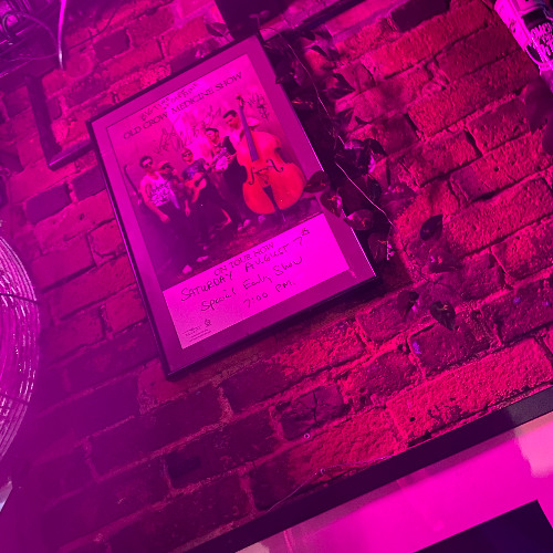 Passively Watching the World Burn Down