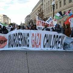Nobody Who Gets Gaza Wrong Is Worth Listening To