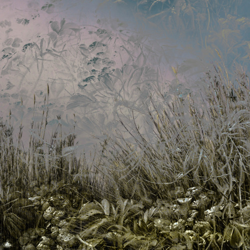Stream Windy Flowers by Ondu | Listen online for free on SoundCloud