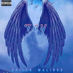 DVilln13 x Malingo- Fly