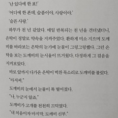 사랑의 물리학