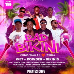 The Official Bad Bikini Party Promo Mix