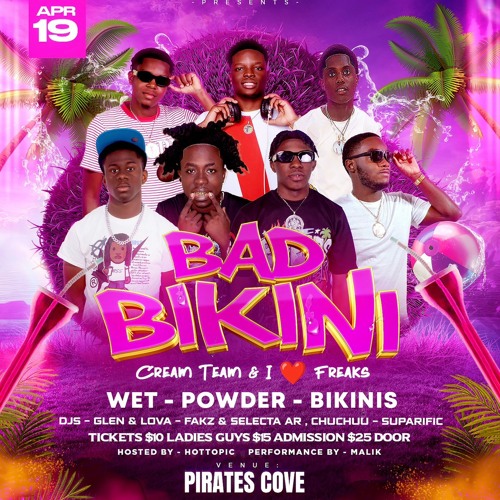 The Official Bad Bikini Party Promo Mix