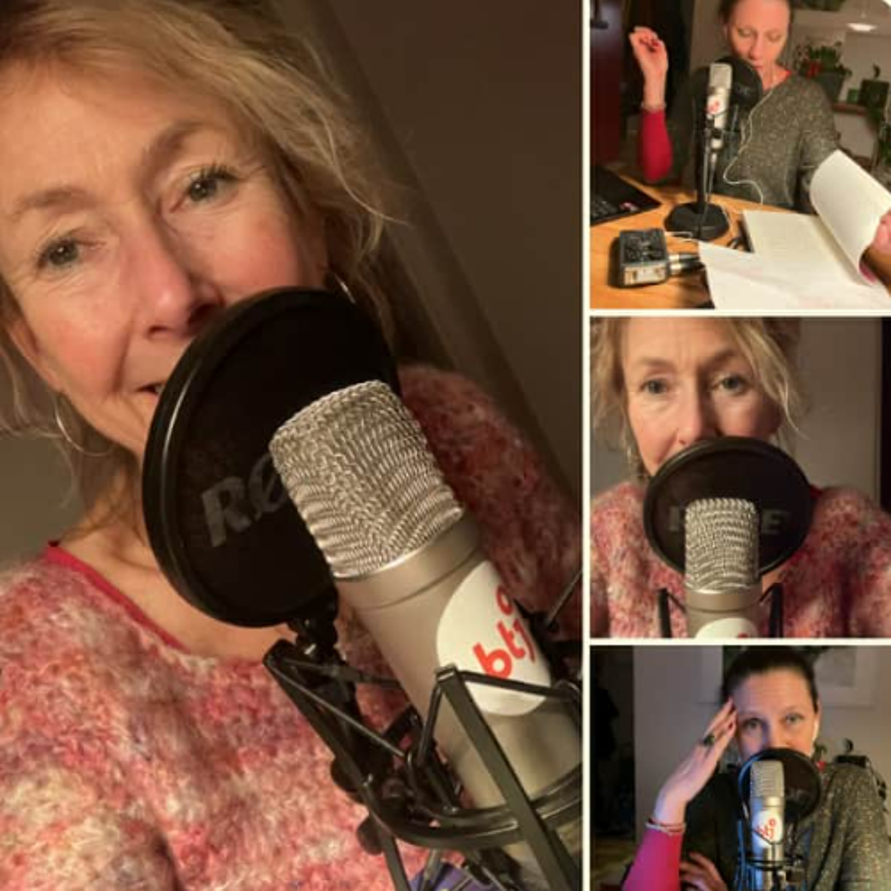 Flödet - en podd om skolbibliotek