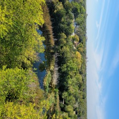 cory matthews revenge plot