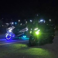 8.15 육쪽마늘이 보여줄게