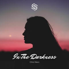 Chris Niers - In The Darkness