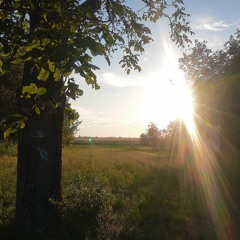 Organic House / Downtempo