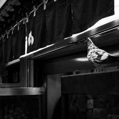 Como un beat switch (FT. Beat nitroso)