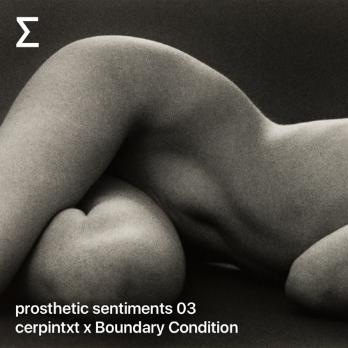 prosthetic sentiments 03 – cerpintxt x Boundary Condition