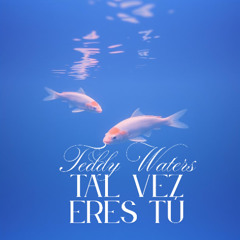 Tal Vez Eres Tu