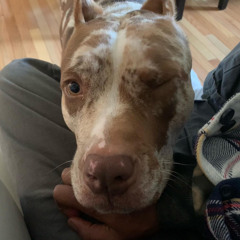 light adapter demo.wav