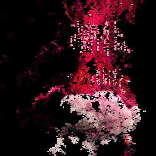 No Guidance Ayzha Nyree X Whiplash NCT127 Mashup