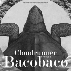 Cloudrunner Ep.1: Bacobaco